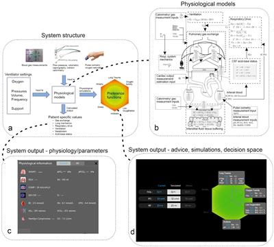 A randomized control trial evaluating the advice of a physiological-model/digital twin-based decision support system on mechanical ventilation in patients with acute respiratory distress syndrome